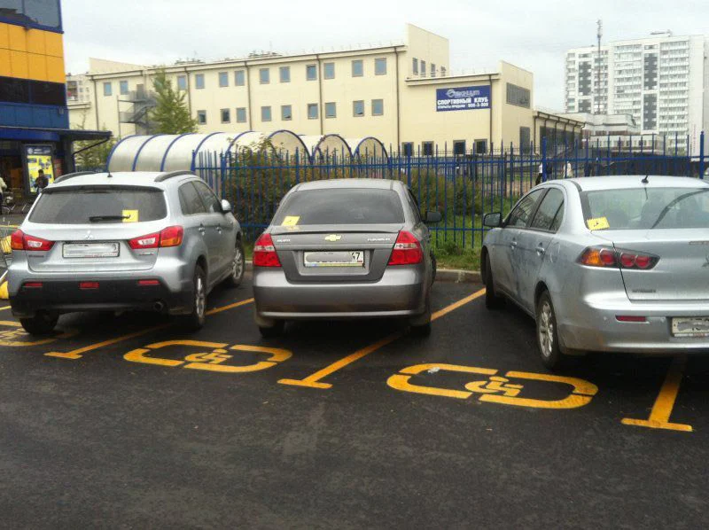 Фото с Яндекс картинок 