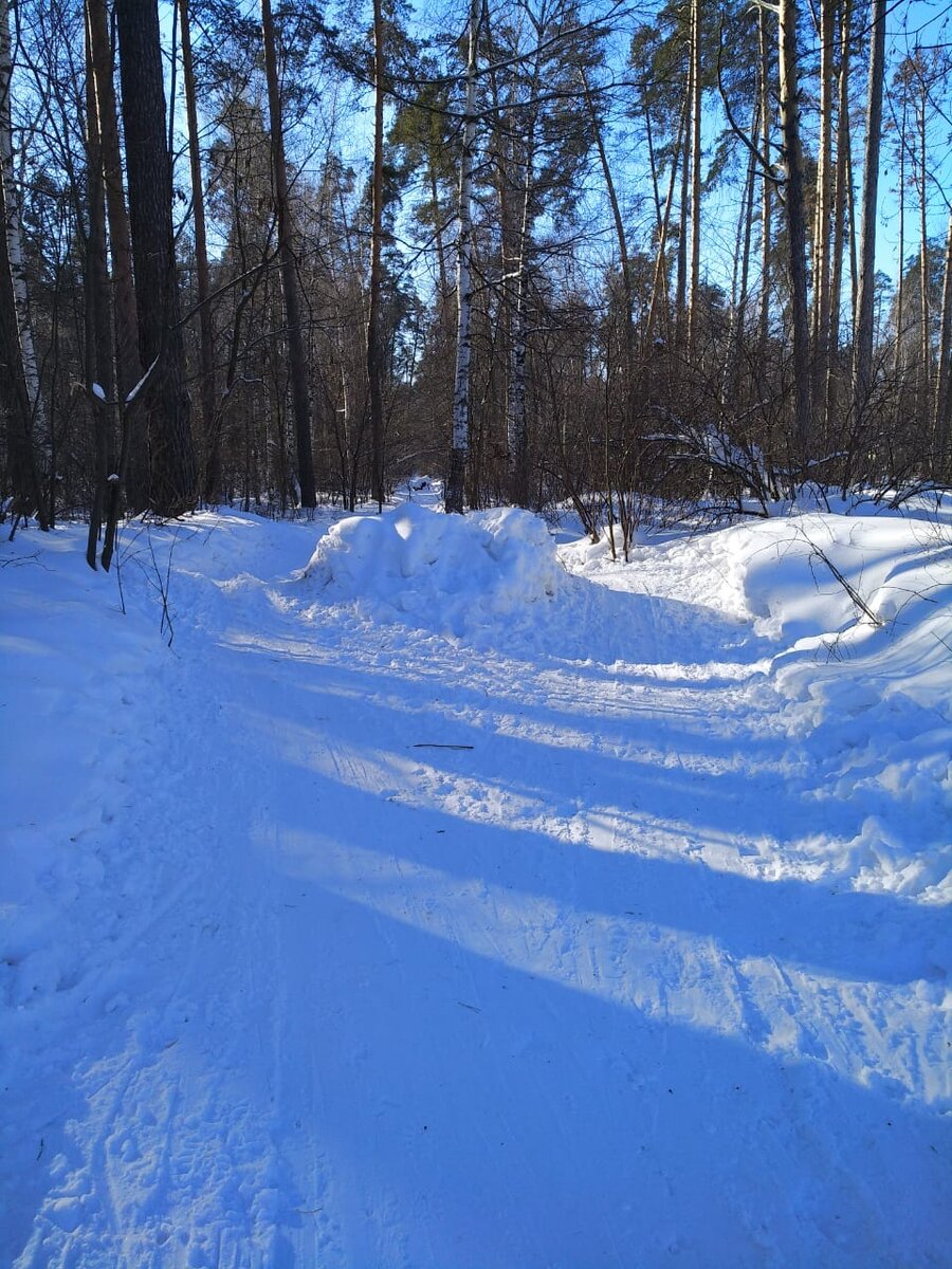 Начало маршрута отмечено большим сугробом