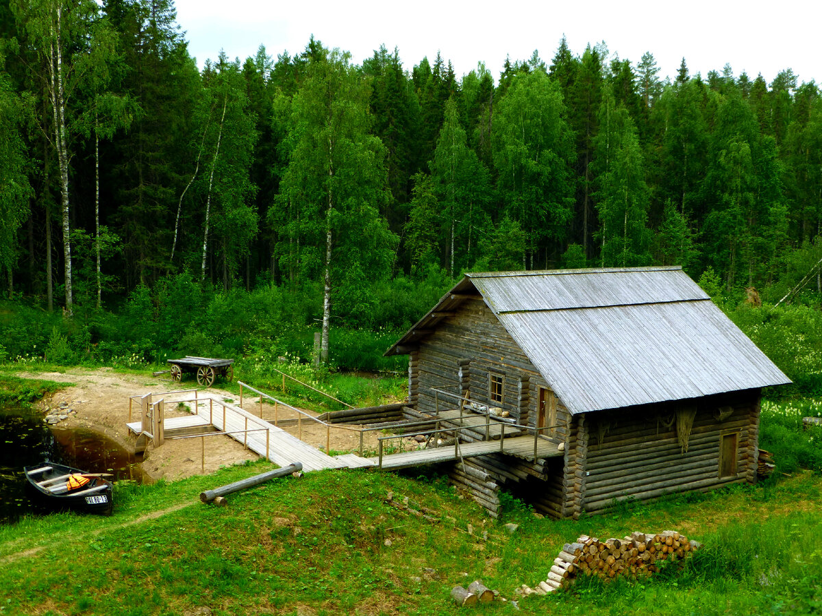 Русское раздолье. Фоторассказ | Владимир Шулояков | Дзен