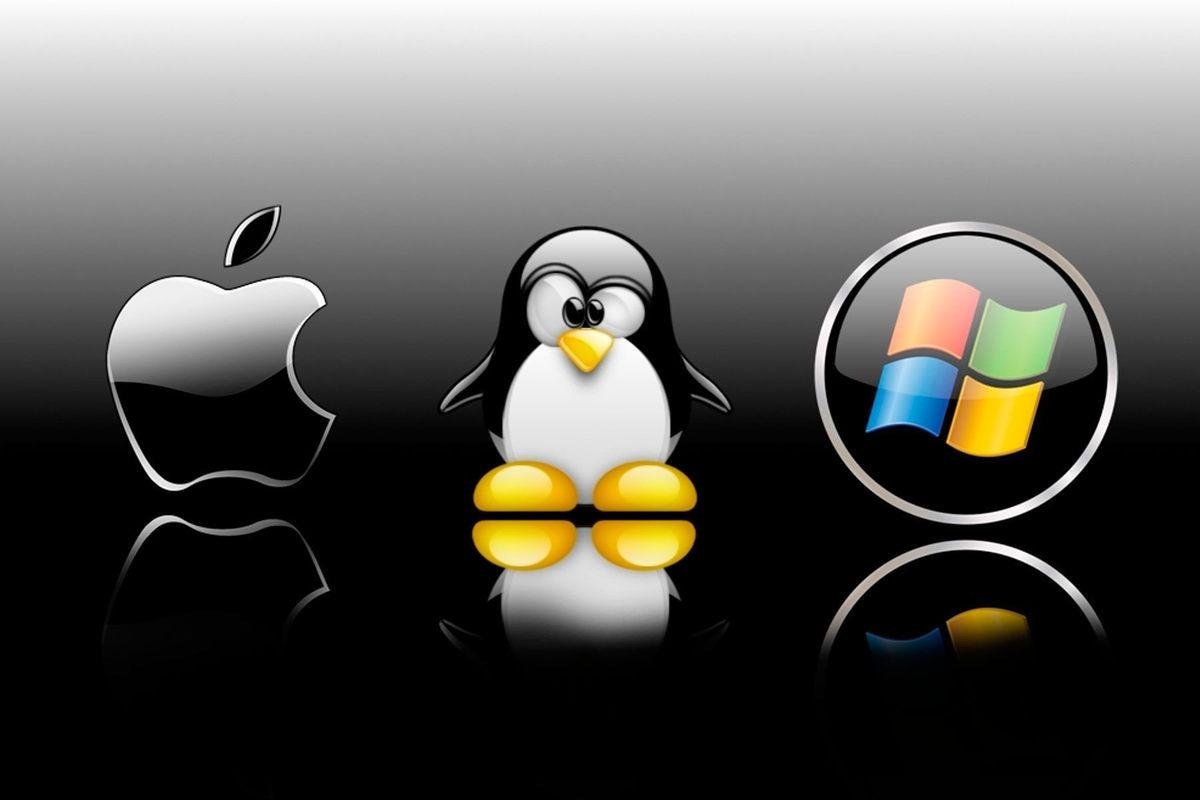 Фото из свободных источников интернета