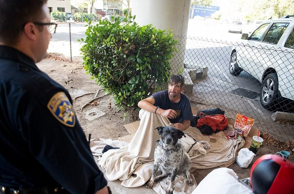 Утреннее приветствие полиции.Яндекс.Картинки.