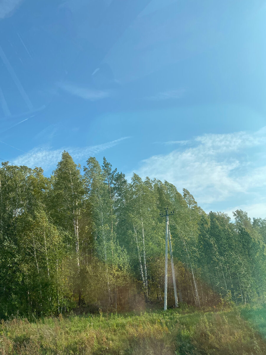 По дороге
