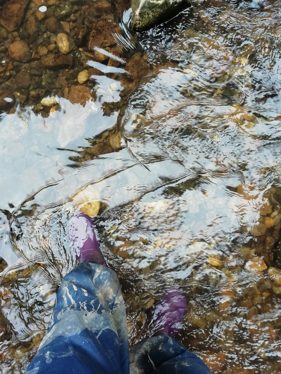 Сапоги, которые меня сначала выручили, а потом подвели.. Фото автора