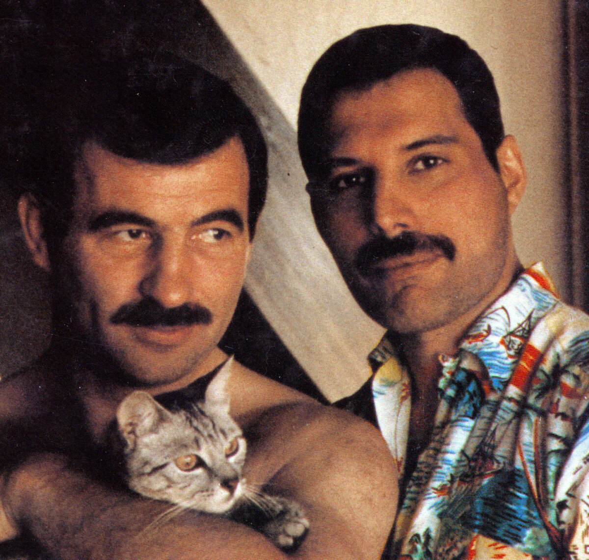 https://fuckyeahmercury.tumblr.com/post/629905533091086336/freddie-with-his-partner-jim-hutton-and-a-cat