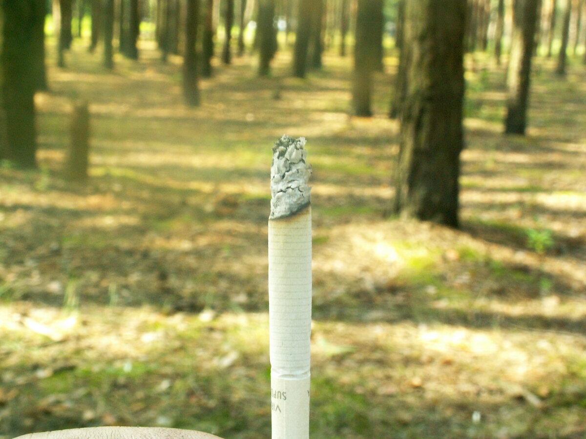 Когда-то сигарета была моей постоянной спутницей жизни.