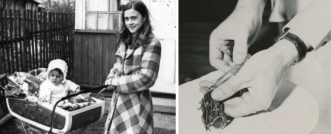 Фото: https://zen.yandex.ru/media и https://was.media