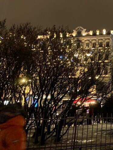 Огни ночного города. Работа Е. Островской.