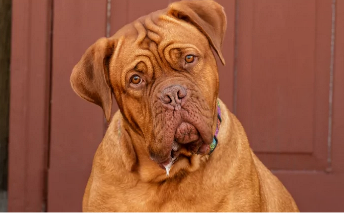 Мне кажется я также выгляжу в эти моменты