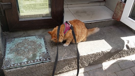 Кузьма Вольдемарович на рабочем месте. Фото из открытых источников