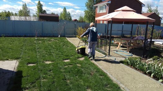 Впереди у забора..