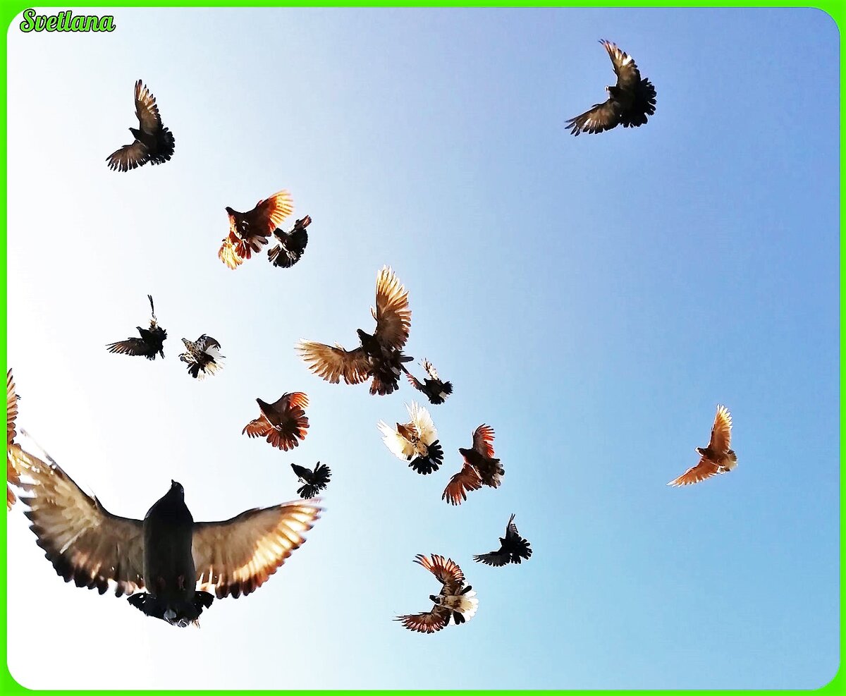 фотография из личного архива