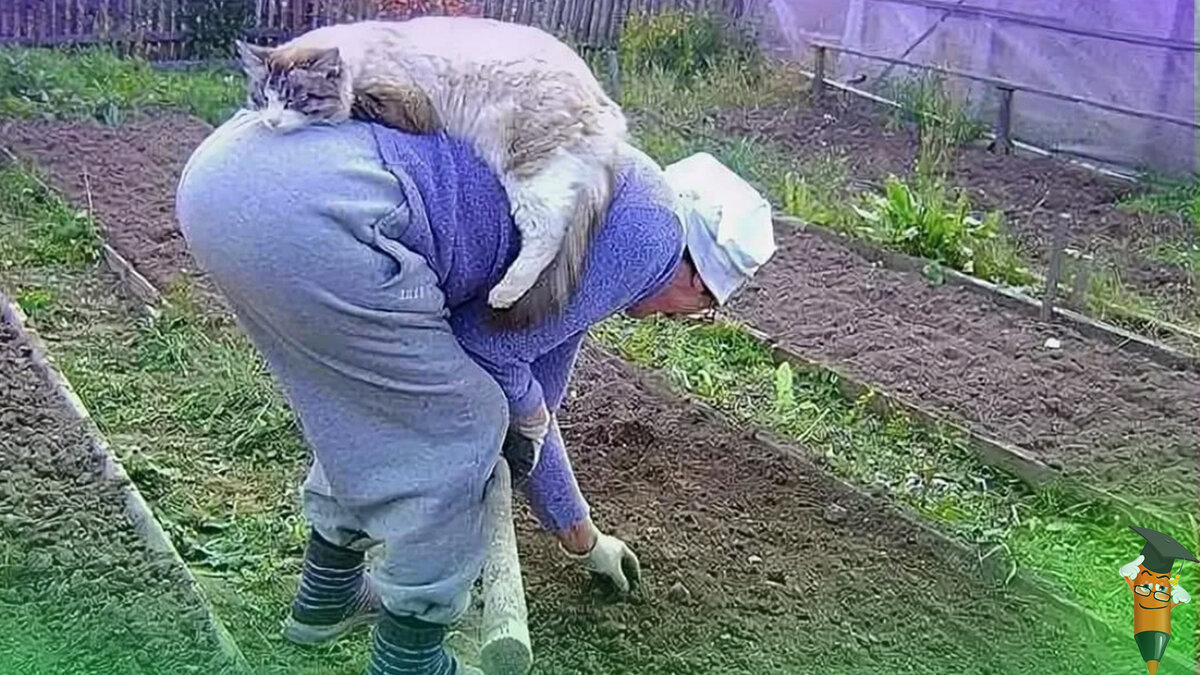 Детский сад и Прикол