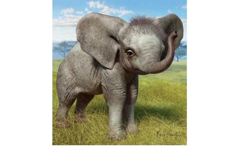 Слоник был умен