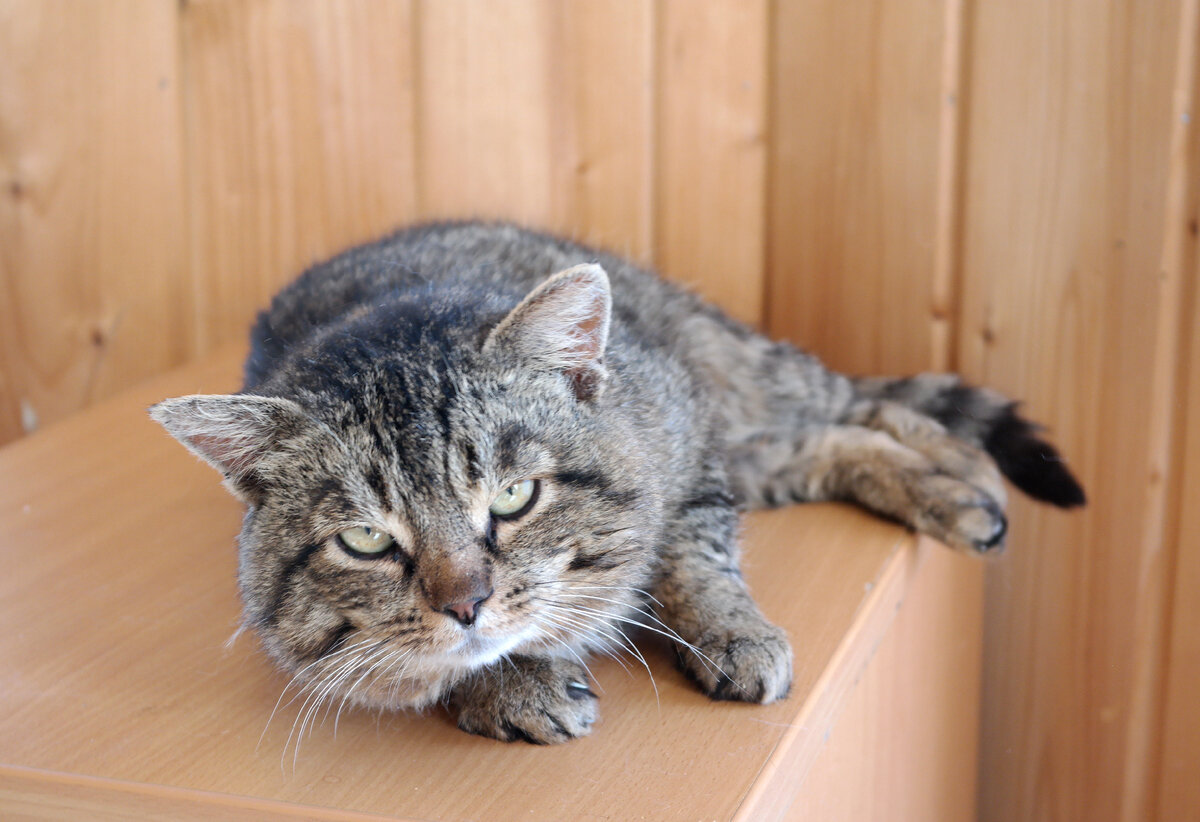 Рейс. Фото из домашнего архива