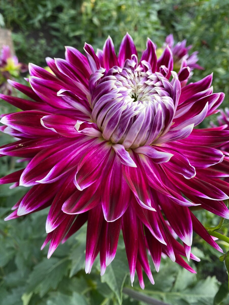 Фото канала Вечный выходной 