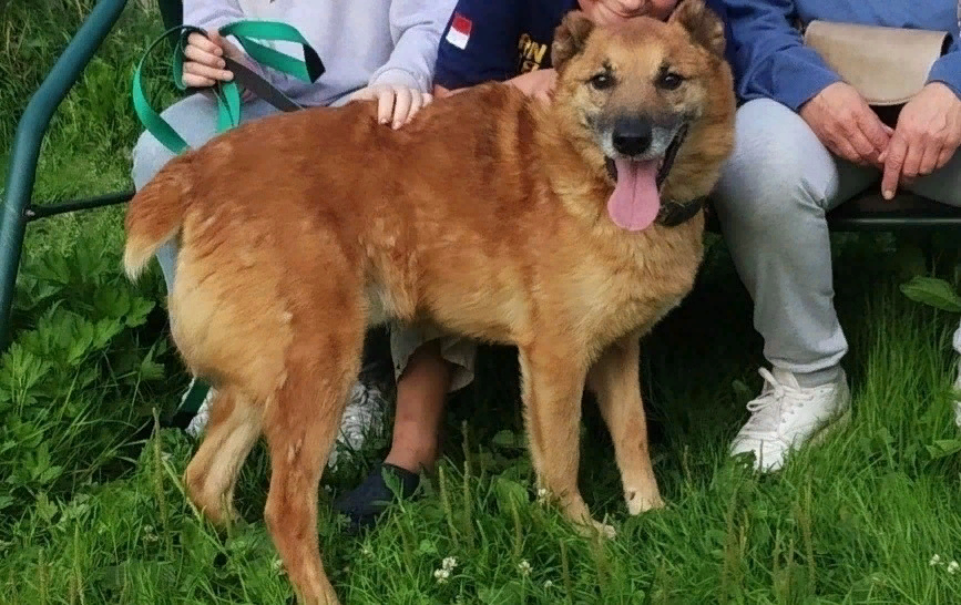 Джек в безответственной семье, от которых он сбежал на второй день