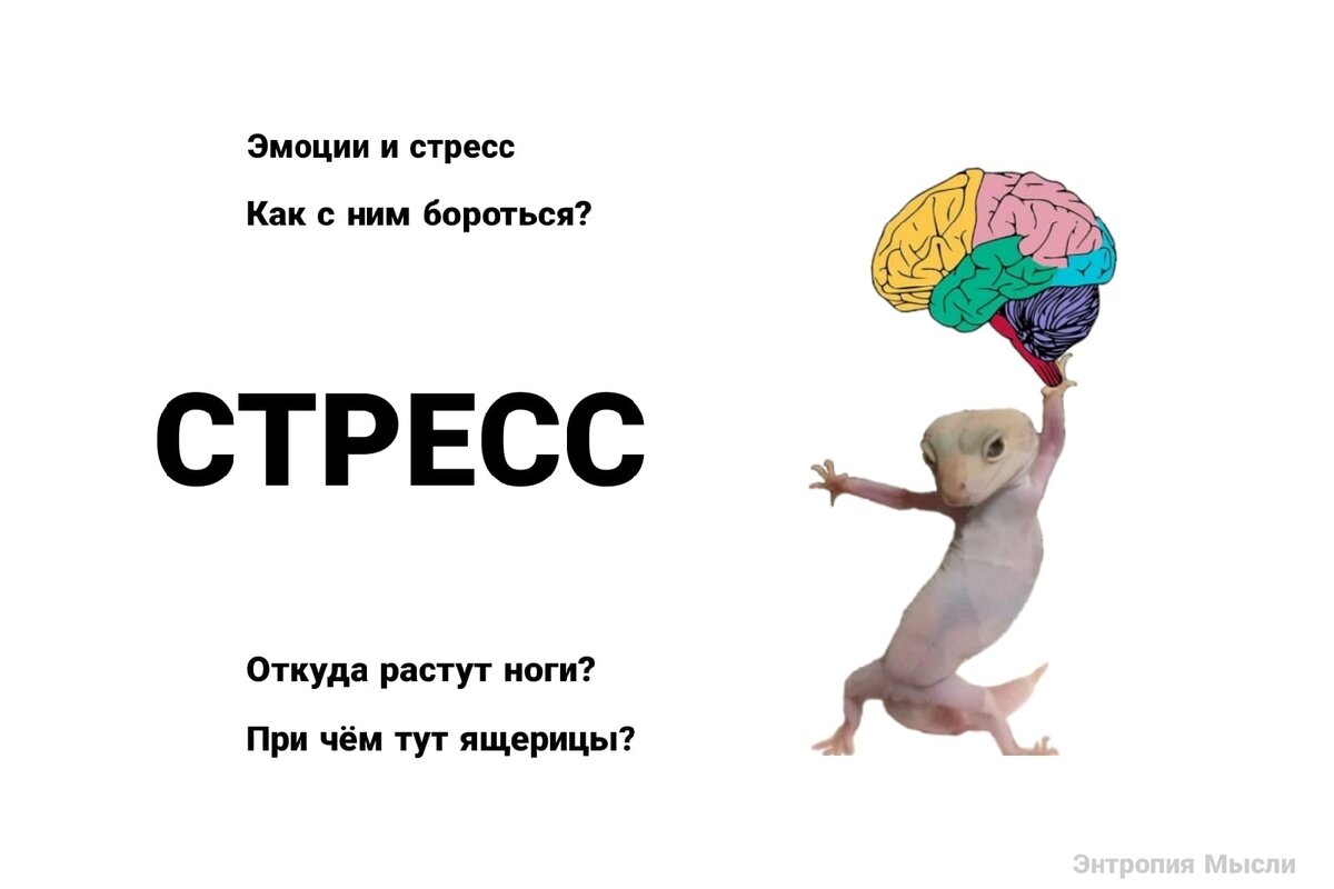 Обалденная обложка :)