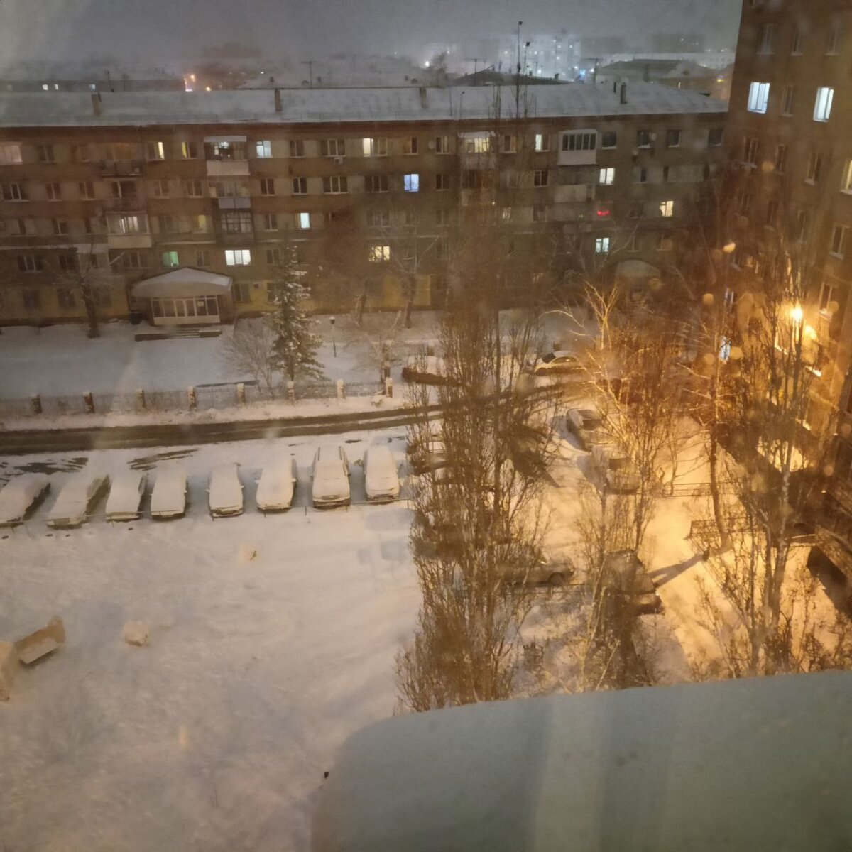 Лучшая прогулка в такую погоду - дома