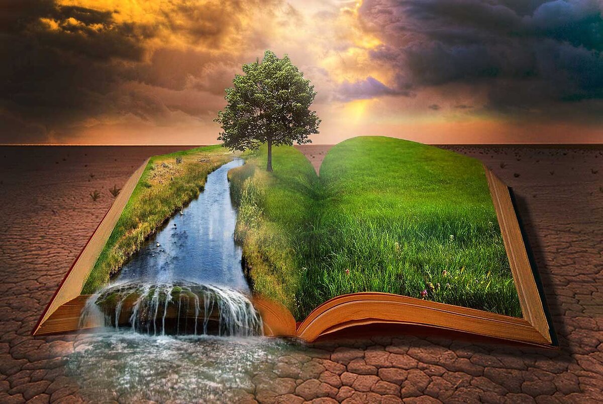 Реки в жизни человека. Природа из книги. Мудрость природы. Река жизни. Мудрая природа.