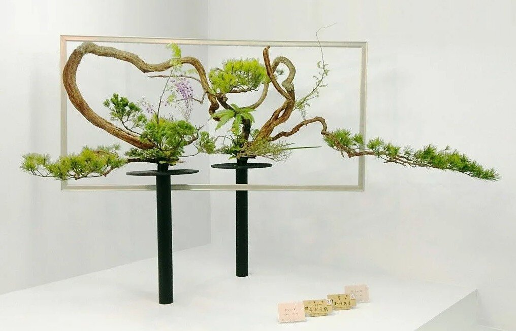 школа Икэнобо