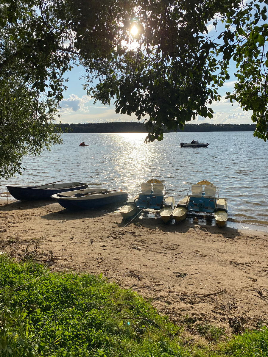 На Можайское водохранилище с палаткой 🏕️ Выходные на природе | travel_ok |  Дзен