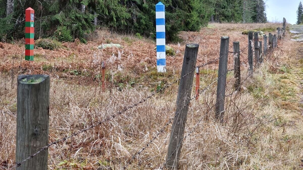 Забор на границе с финляндией фото