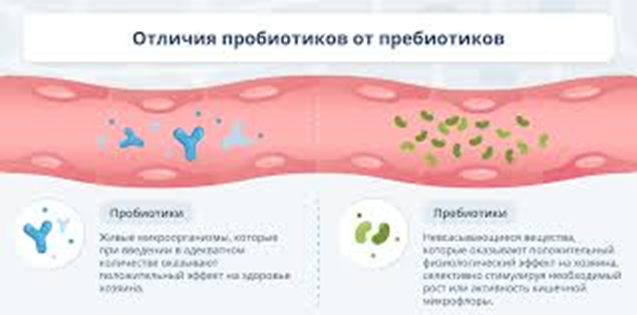 Рак анального канала: признаки, симптомы, лечение, прогнозы