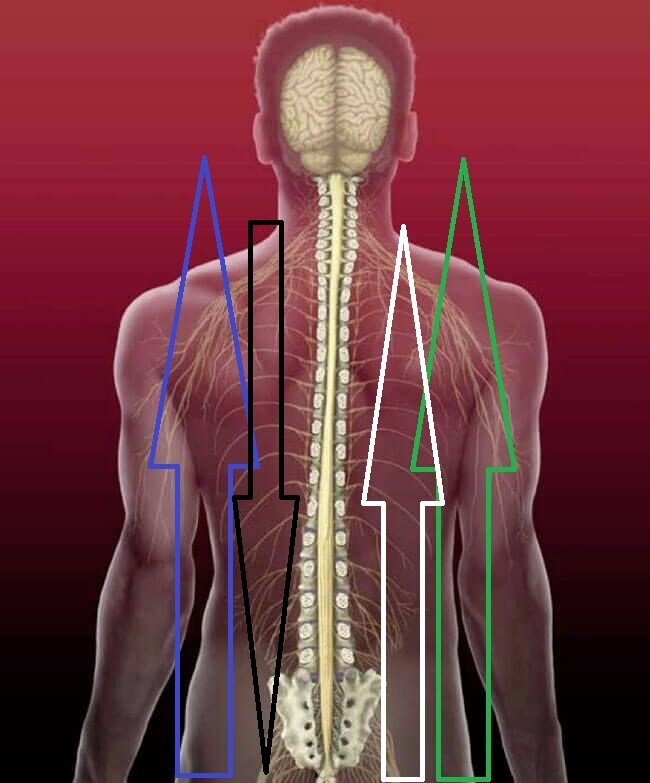 Боли в спине: причины, симптомы, диагностика, лечение — медцентр АКСИС (Зеленоград)