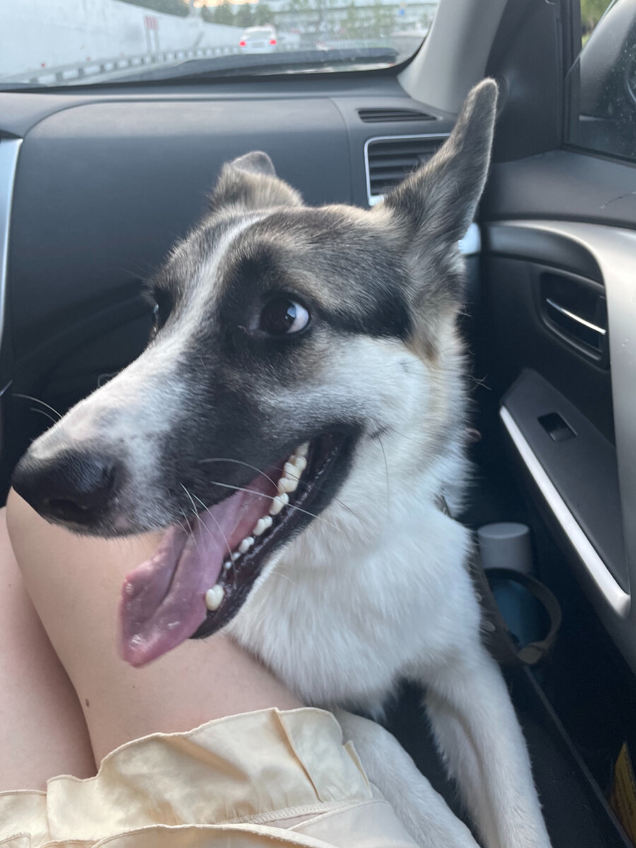 Чем больше слюней вырабатывается тем эффективней