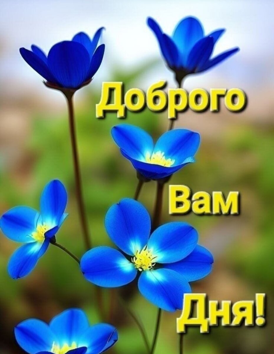 Пользуясь небольшим затишьем на фронте,