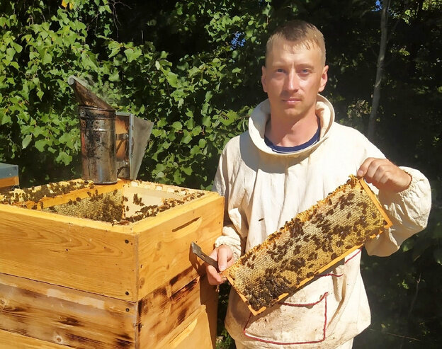 Разведение пчел. Инструкция для начинающих пчеловодов.