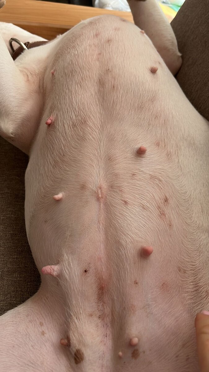 Проблемы с кожей