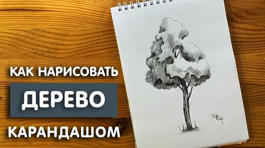 Как нарисовать деревья карандашом