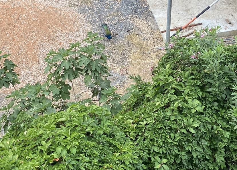 Вот это вид...