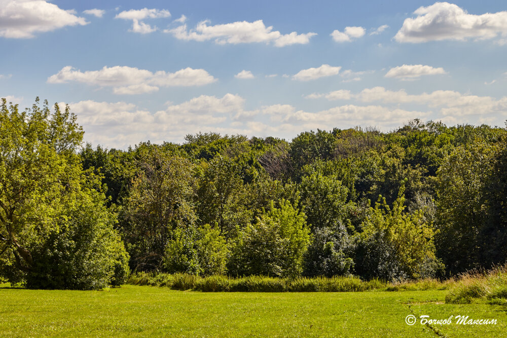 Кондратьев вячеслав леонидович сашка. Читать сашка мах67 хранитель истории дзен. Вячеслав леонидович кондратьев сашка кратко пересказ. Осваиваем заброшенную дачу. Фото участков московской области истринский район.