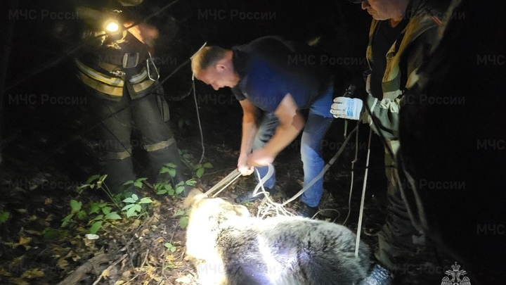 фото УМЧС РОССИИ ПО КОСТРОМСКОЙ ОБЛАСТИ