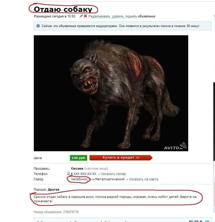 Обмен на стаю собак интересует мем авито