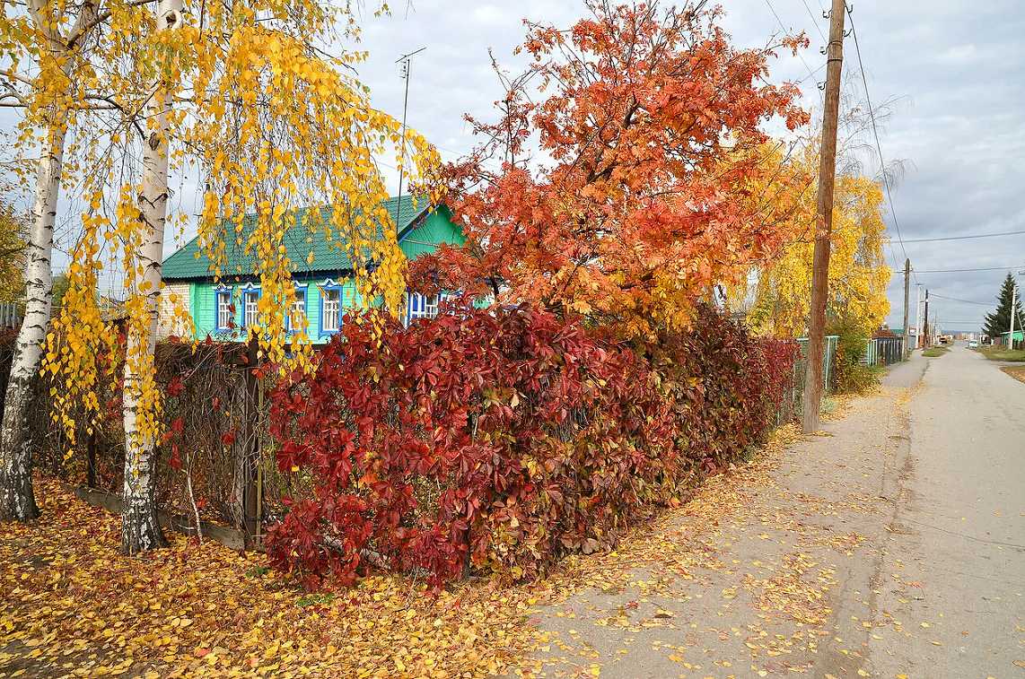 Сдам осень. Осень в деревне. Золотая осень в деревне. Деревня осенью. Поздняя осень на даче.