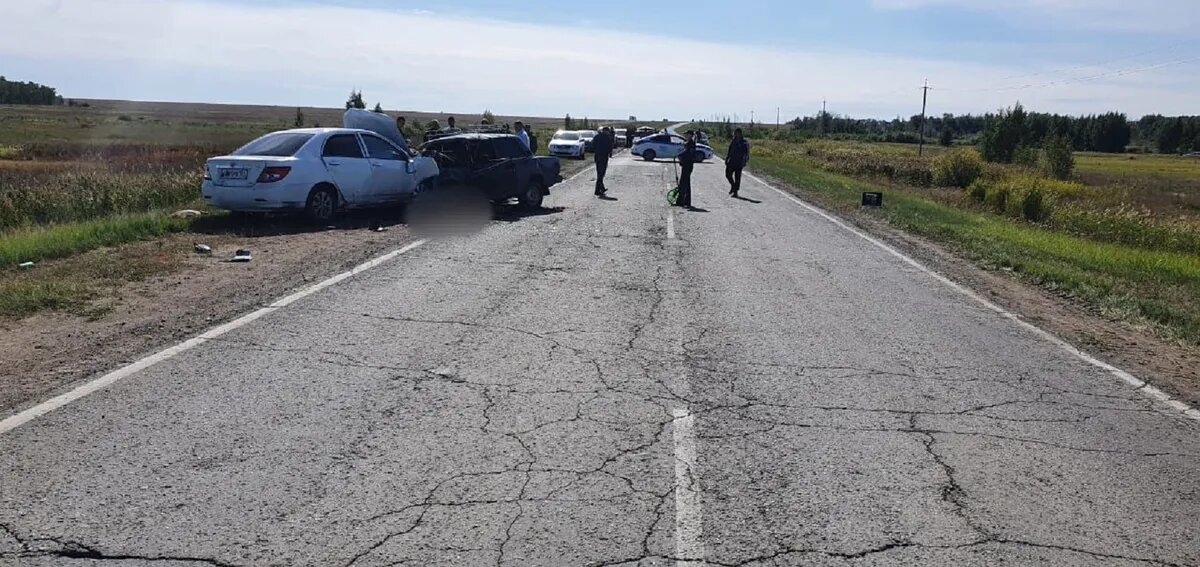 Фото: ГИБДД Новосибирск