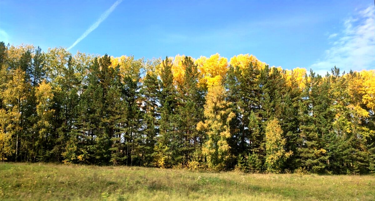 Золотая осень