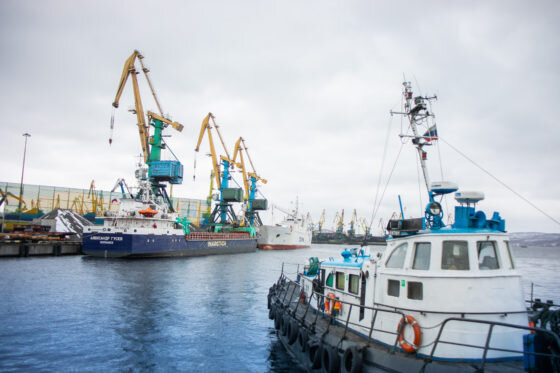     Фото: Мурманский морской торговый порт