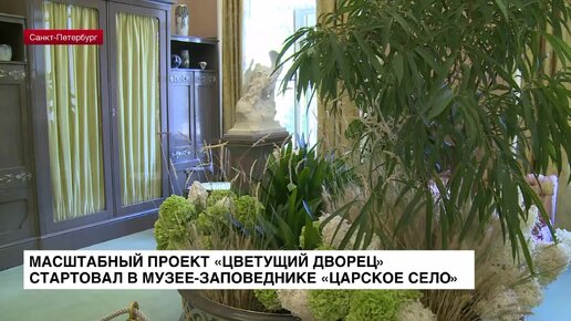 Масштабный проект «Цветущий дворец» стартовал в музее-заповеднике «Царское Село»