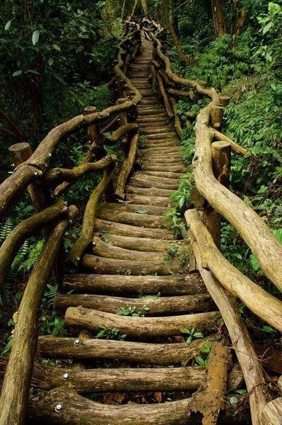 (фото из интернета)