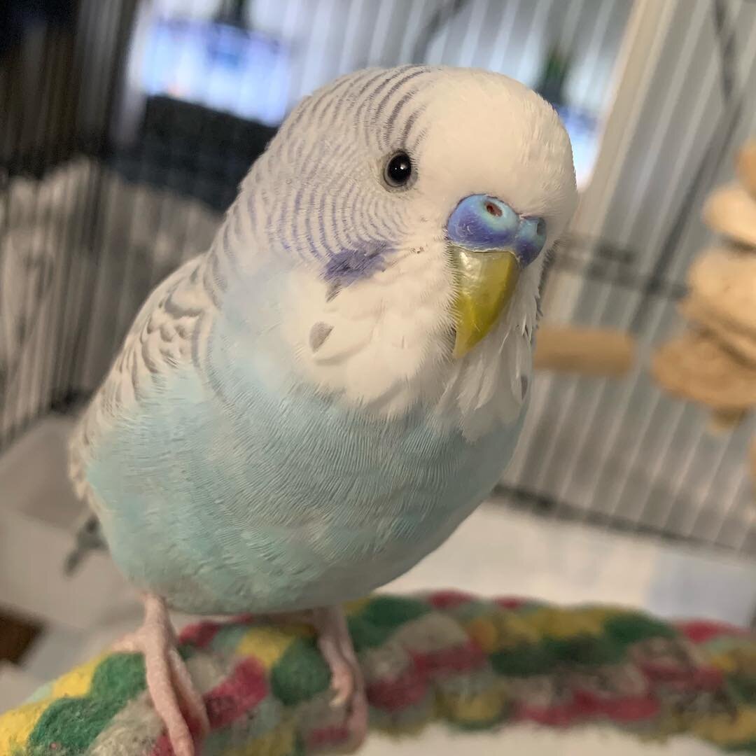 Источник фото: dietworkoutfitness.com