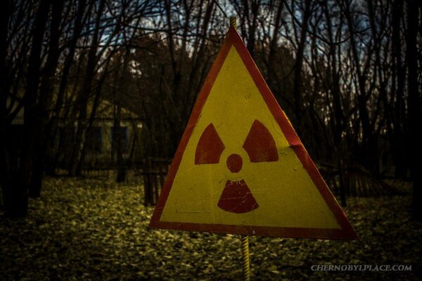 Чем сейчас опасен Чернобыль