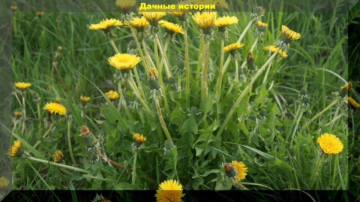 https://vk.com/photo-159774511_456241836