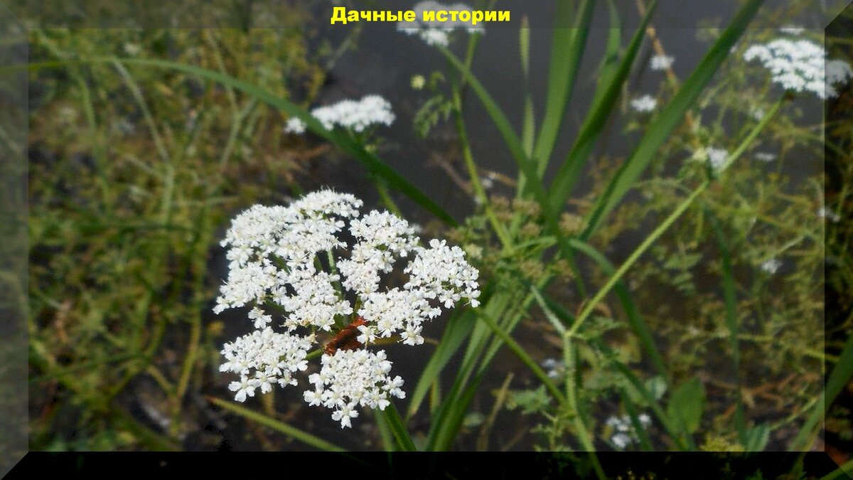 https://vk.com/photo-159774511_456241873