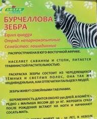 У каждого животного табличка с информацией.