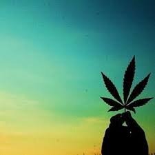 фото взято в свобдном доступе