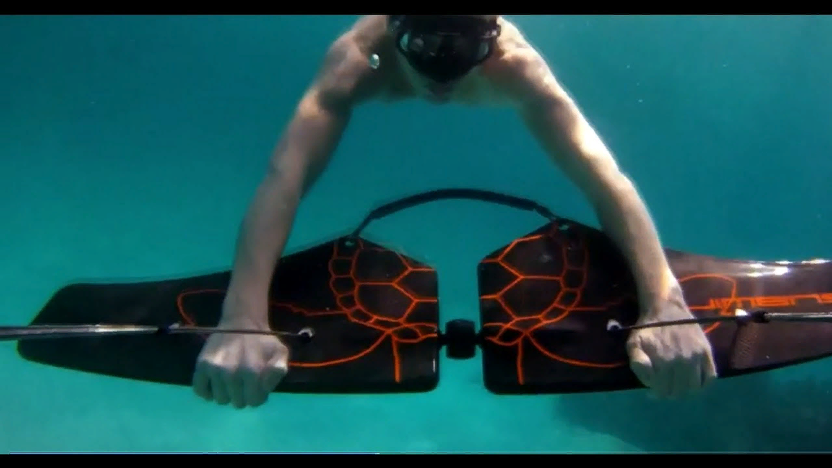 Фото с яндекс картинки.